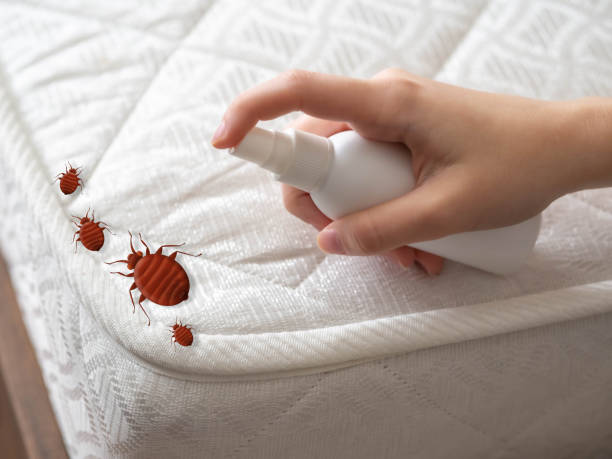 Best Commercial Pest Control Services  in Macopin, NJ